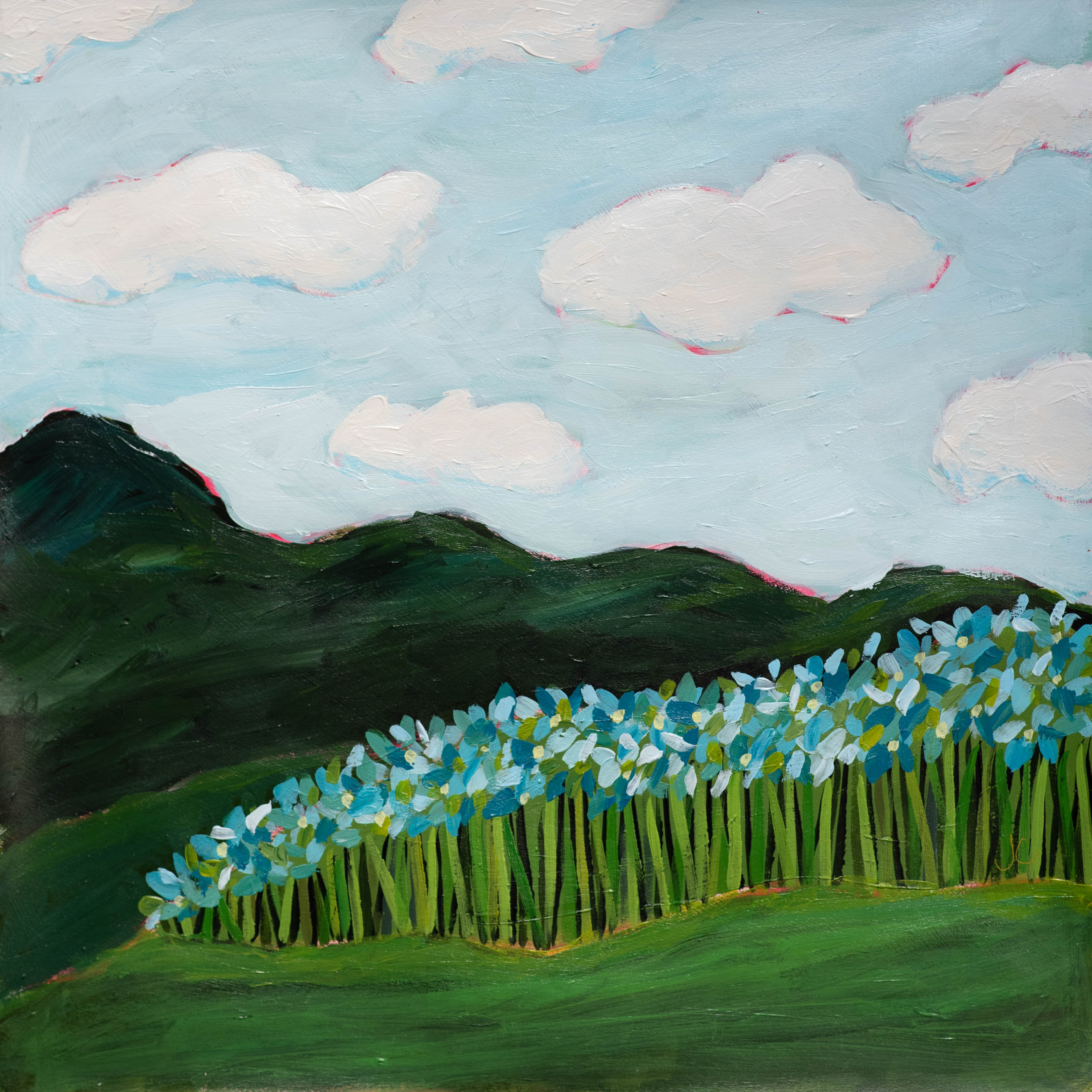 12x12 "Beauty In The valley"
