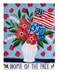 Home Of The Free